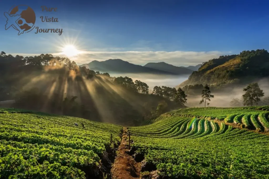 Darjeeling Queen of the Hills